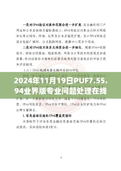 2024年11月19日PUF7.55.94业界版专业问题处理在线查阅