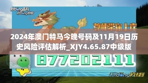 2024年澳门特马今晚号码及11月19日历史风险评估解析_XJY4.65.87中级版