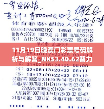 11月19日晚澳门彩票号码解析与解答_NKS3.40.62智力版