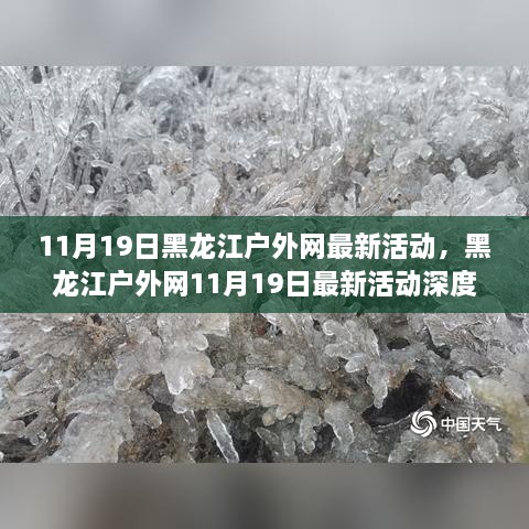 黑龙江户外网11月19日最新活动深度解析与介绍