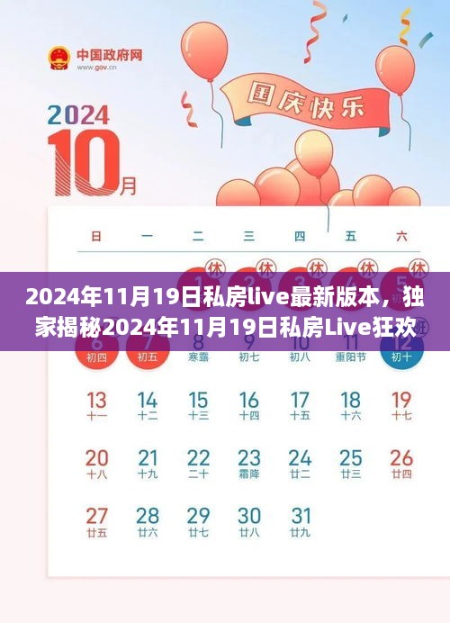 2024年11月20日 第106页