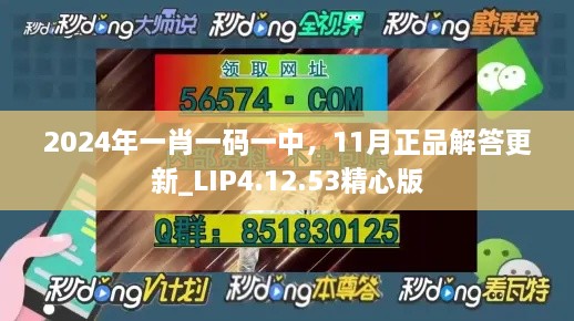 2024年一肖一码一中，11月正品解答更新_LIP4.12.53精心版