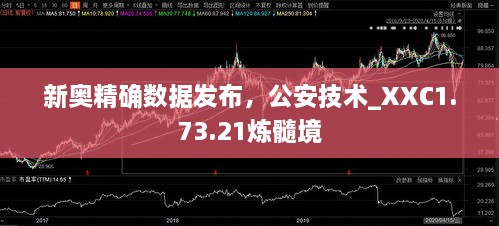 新奥精确数据发布，公安技术_XXC1.73.21炼髓境