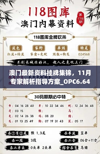 澳门最新资料挂牌集锦，11月专家解析指导方案_OPC6.64.74体验版