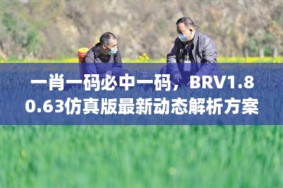 一肖一码必中一码，BRV1.80.63仿真版最新动态解析方案