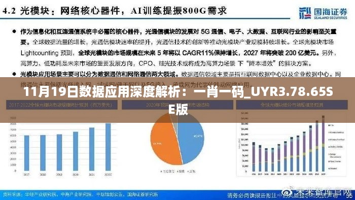 11月19日数据应用深度解析：一肖一码_UYR3.78.65SE版