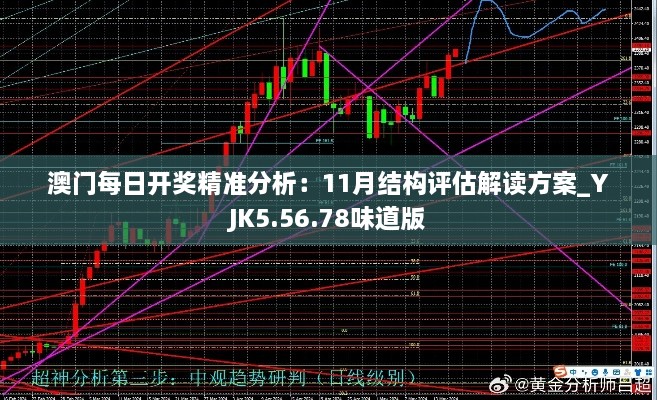 澳门每日开奖精准分析：11月结构评估解读方案_YJK5.56.78味道版