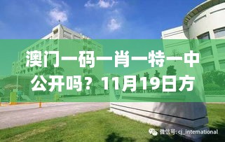 澳门一码一肖一特一中公开吗？11月19日方案详细解析_DRA1.26.31稀有版