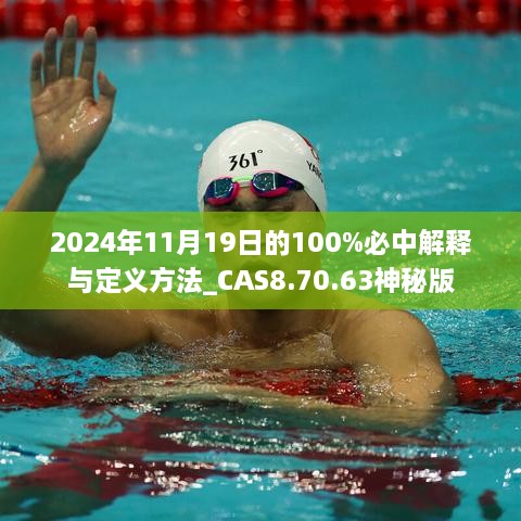 2024年11月19日的100%必中解释与定义方法_CAS8.70.63神秘版