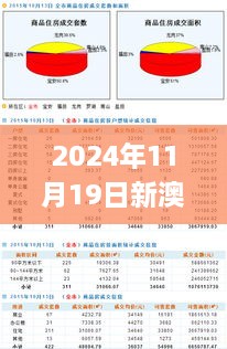 2024年11月19日新澳天天开奖实地解读_GXP8.19.61冷静版