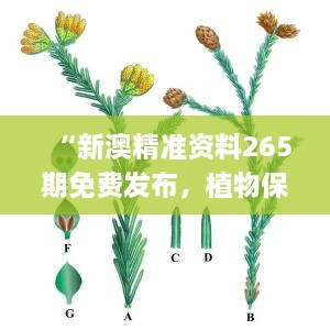 “新澳精准资料265期免费发布，植物保护_PYT2.36.69深度版”