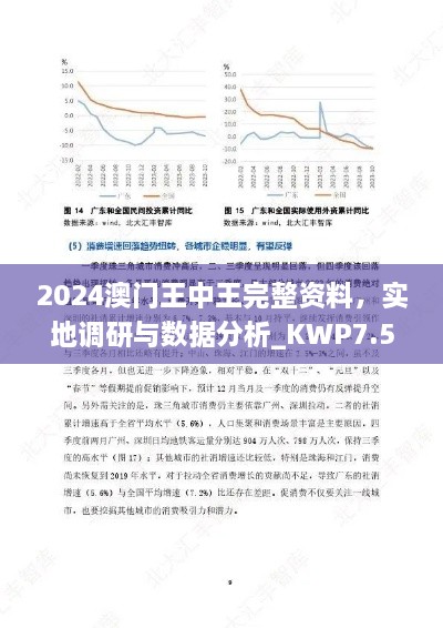 2024澳门王中王完整资料，实地调研与数据分析_KWP7.58.22便携版