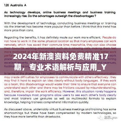 2024年新澳资料免费精准17期，专业术语解析与应用_YXX7.11.56修订版