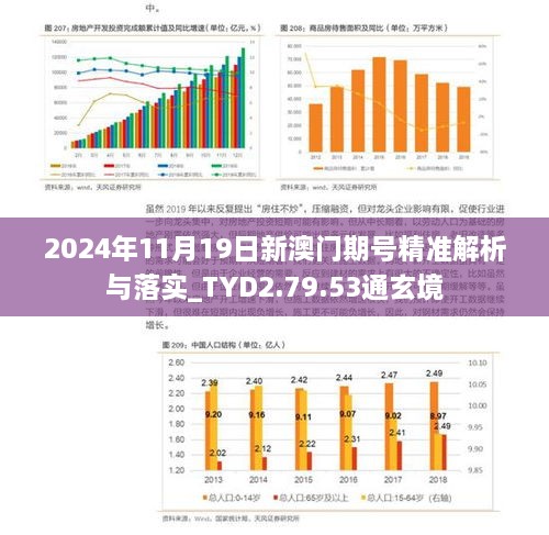 2024年11月19日新澳门期号精准解析与落实_TYD2.79.53通玄境