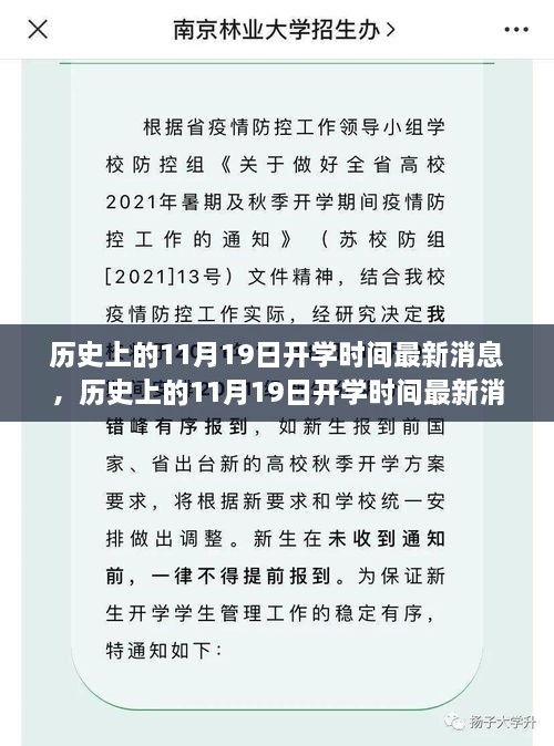 历史上的11月19日开学时间最新消息，深度分析与观点阐述