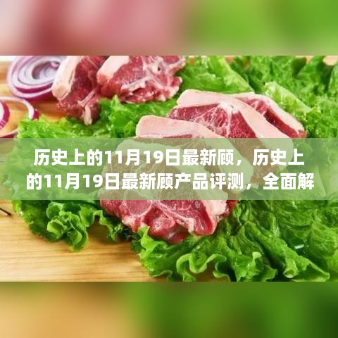 历史上的11月19日，最新顾产品全面解读与评测报告