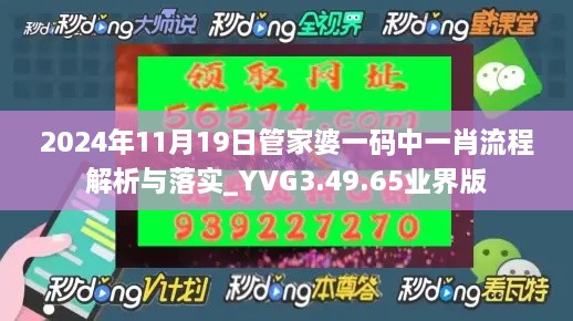 2024年11月19日管家婆一码中一肖流程解析与落实_YVG3.49.65业界版