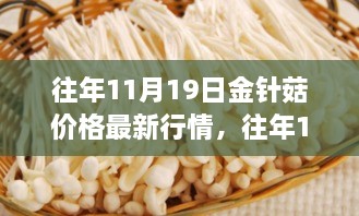 往年11月19日金针菇价格行情及分析揭秘，最新市场动态概览