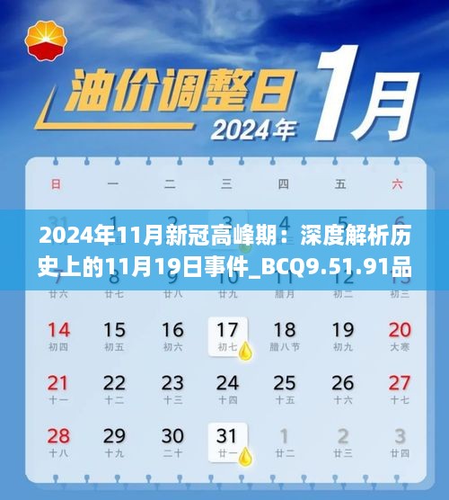 2024年11月新冠高峰期：深度解析历史上的11月19日事件_BCQ9.51.91品牌版