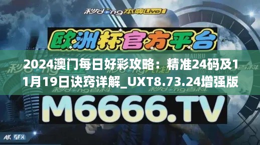 2024澳门每日好彩攻略：精准24码及11月19日诀窍详解_UXT8.73.24增强版