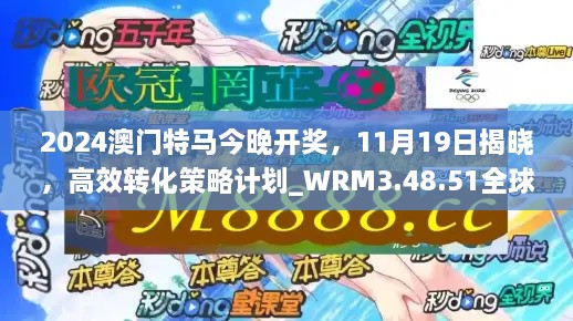 2024澳门特马今晚开奖，11月19日揭晓，高效转化策略计划_WRM3.48.51全球版