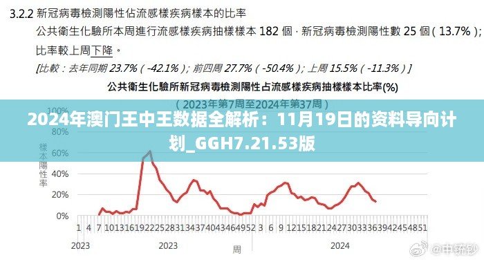 2024年澳门王中王数据全解析：11月19日的资料导向计划_GGH7.21.53版