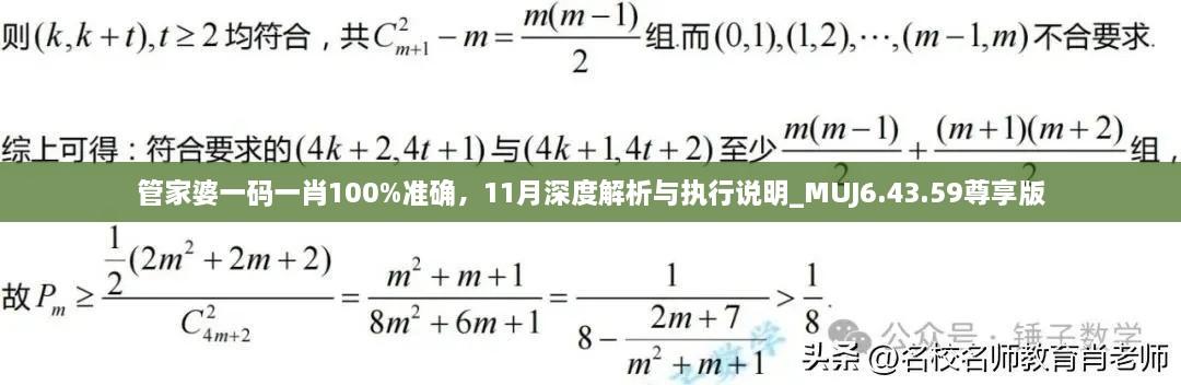 管家婆一码一肖100%准确，11月深度解析与执行说明_MUJ6.43.59尊享版