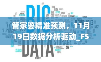 管家婆精准预测，11月19日数据分析驱动_FSD8.73.60深度解析