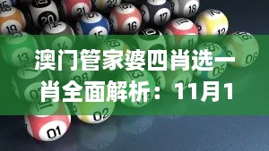 澳门管家婆四肖选一肖全面解析：11月19日细节评估与现象解读_UAH9.43.58魔力版