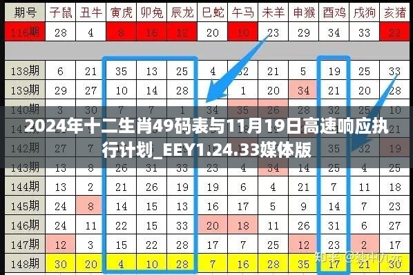 2024年十二生肖49码表与11月19日高速响应执行计划_EEY1.24.33媒体版