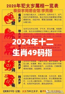 2024年十二生肖49码指南及11月19日快速问题解决方案_IQX7.12.95采购版