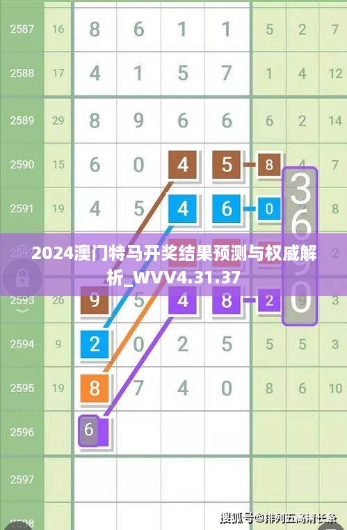 2024澳门特马开奖结果预测与权威解析_WVV4.31.37