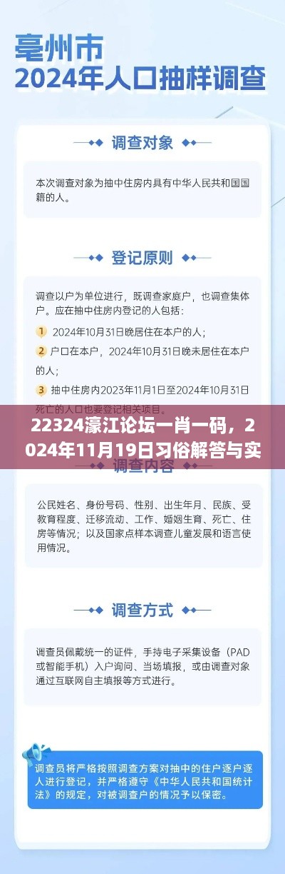 22324濠江论坛一肖一码，2024年11月19日习俗解答与实施_QCN3.40.61便携版