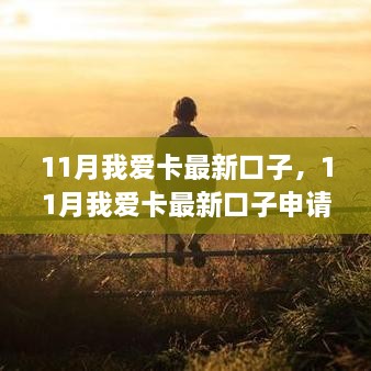 11月我爱卡最新口子申请攻略，轻松掌握申请流程，快速上手操作指南