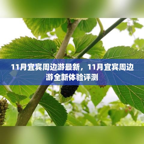 宜宾周边游十一月全新体验评测与指南