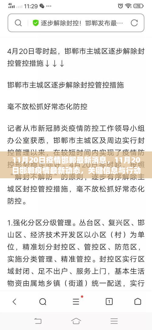 邯郸疫情最新动态及关键信息，行动指南发布（11月20日更新）