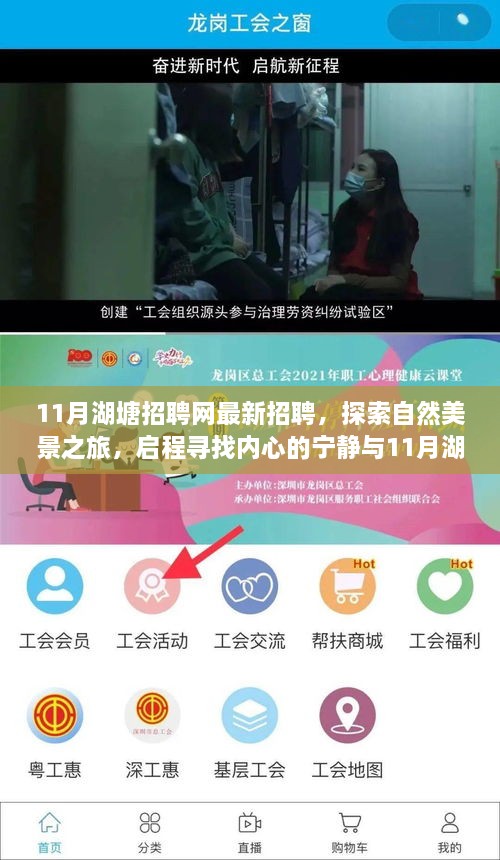 11月湖塘招聘网，新机遇与探索自然美景之旅，寻找内心宁静的启程点