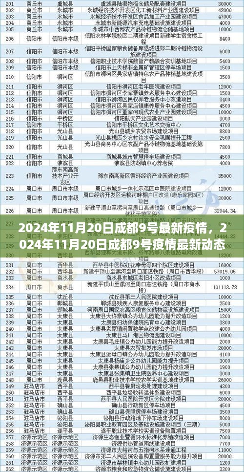 成都疫情最新动态解析与观点阐述，2024年11月20日成都疫情观察报告