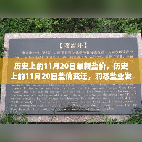 历史上的盐价变迁，洞悉盐业发展脉络，最新盐价一览（11月20日）