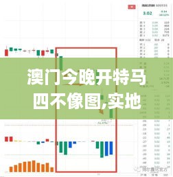 澳门今晚开特马四不像图,实地数据验证策略_SJD6.30.49轻奢版