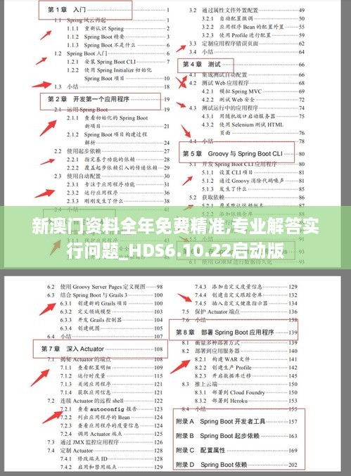 新澳门资料全年免费精准,专业解答实行问题_HDS6.10.22启动版