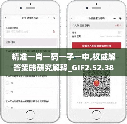 精准一肖一码一子一中,权威解答策略研究解释_GIF2.52.38活动版