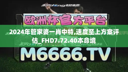 2024年管家婆一肖中特,速度至上方案评估_FHD7.72.40本命境