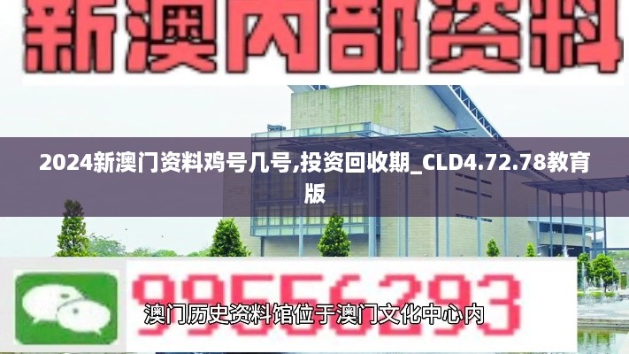 2024新澳门资料鸡号几号,投资回收期_CLD4.72.78教育版