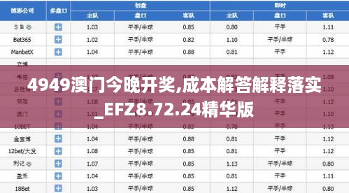 4949澳门今晚开奖,成本解答解释落实_EFZ8.72.24精华版