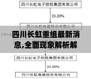 四川长虹重组最新消息,全面现象解析解答解释_LRM2.75.83快速版