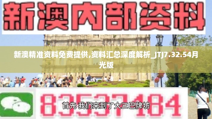 新澳精准资料免费提供,资料汇总深度解析_JTJ7.32.54月光版