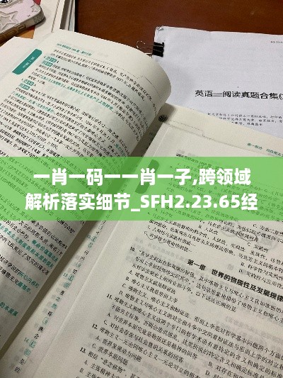 一肖一码一一肖一子,跨领域解析落实细节_SFH2.23.65经济版