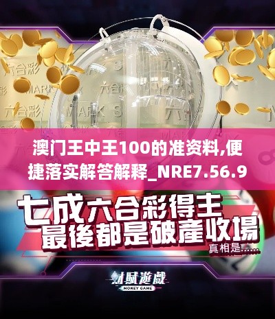 澳门王中王100的准资料,便捷落实解答解释_NRE7.56.91神器版