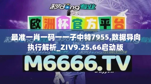 最准一肖一码一一子中特7955,数据导向执行解析_ZIV9.25.66启动版